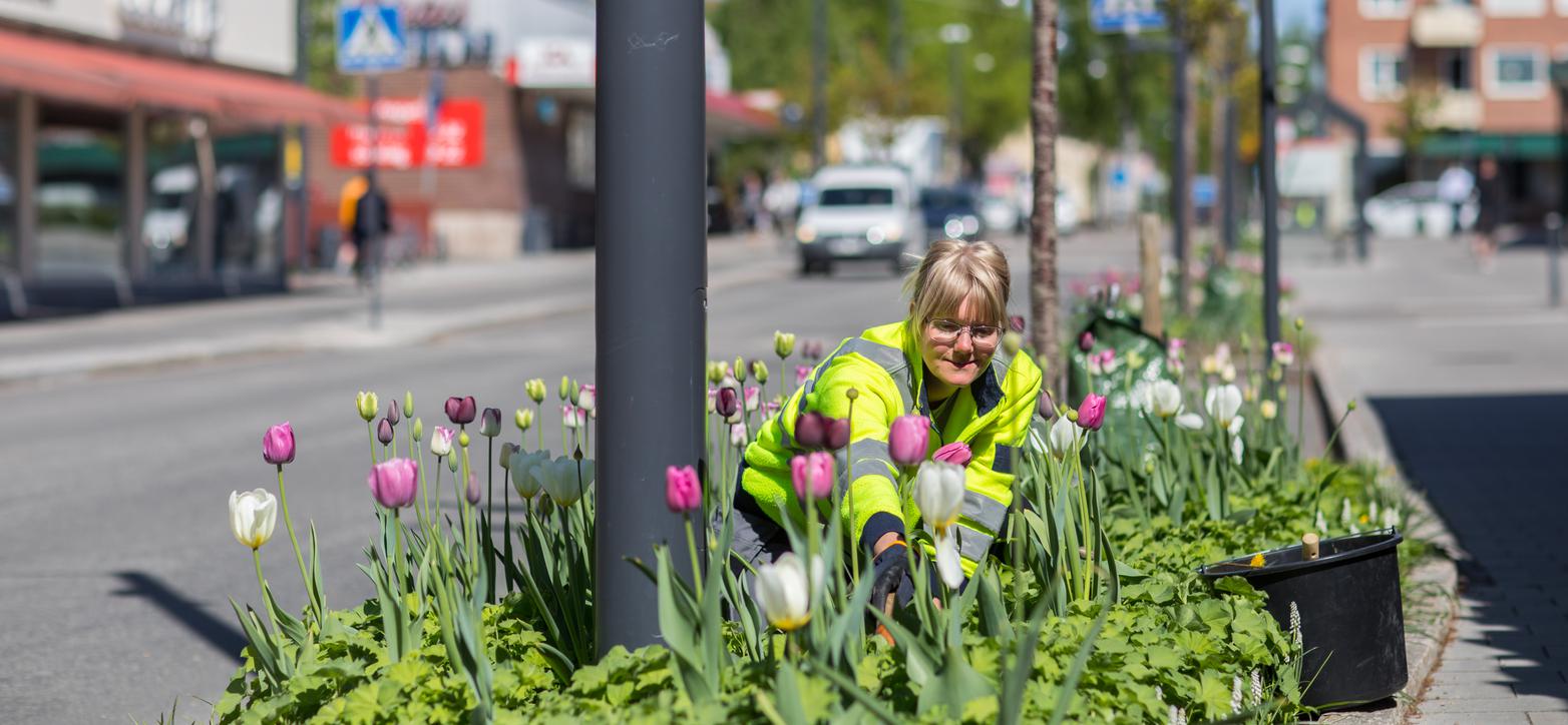 Johanna planterar blommor i Leksand